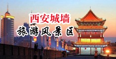 爱爱爱强奸视频网站中国陕西-西安城墙旅游风景区