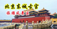 美女淫水穴影音先锋中国北京-东城古宫旅游风景区